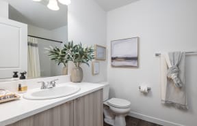 The Tides at Willow Point Apartments Model Bathroom