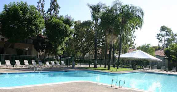 a swimming pool with chairs and trees around it