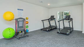 A gym with two treadmills and exercise balls.