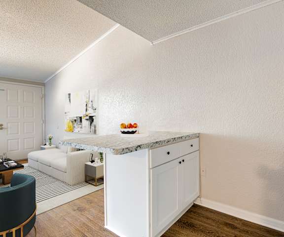 the kitchen breakfast bar and living room at Mount Dora Apartments