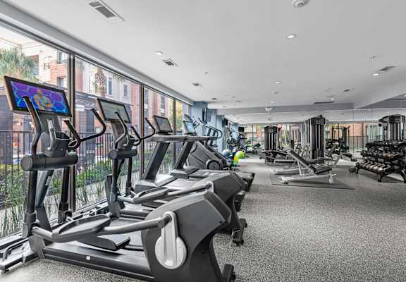 A gym with treadmills and exercise equipment.