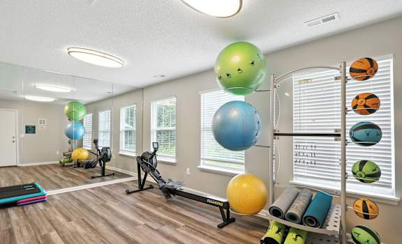A gym with exercise balls of various sizes and colors.