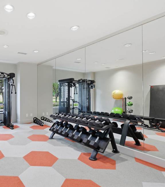 A gym with a variety of equipment including a squat rack, bench press, and a mirror.