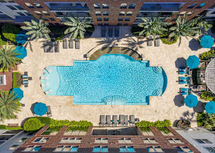 A large swimming pool surrounded by palm trees and lounge chairs.