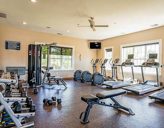 the fitness room has plenty of weights and cardio equipment