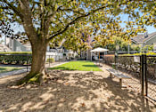 Thumbnail 9 of 15 - a park with a tree and a bench in front of a fence at AVIA Lofts on Parkway, Vancouver, Washington