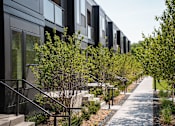 Thumbnail 2 of 8 - A long row of black houses with trees in front.
