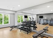 Thumbnail 11 of 22 - A gym with a variety of equipment including treadmills, weights, and benches.