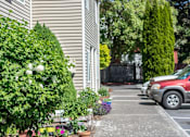 Thumbnail 8 of 9 - Landscaping and parking