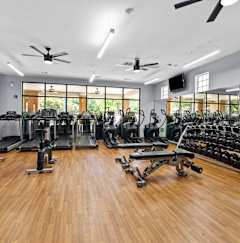 A gym with a variety of equipment including treadmills, weights, and exercise machines.