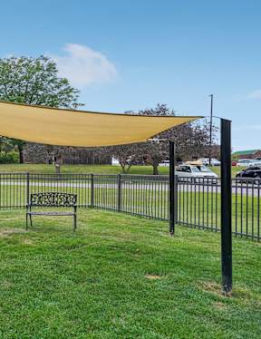 Pet park with metal fence around it. There is a little shaded area in the corner of the park.  