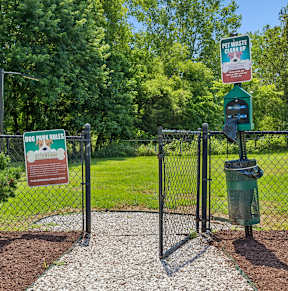 Dog Park