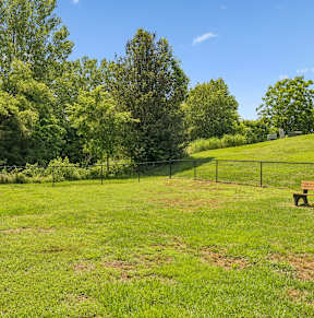 Dog Park