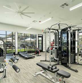 A gym with a variety of equipment including treadmills, weights, and a bench press.