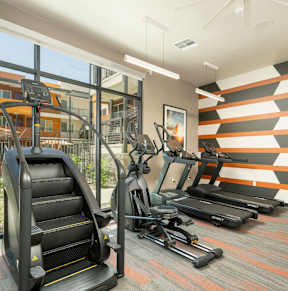 A gym with treadmills, elliptical machines and a striped wall.