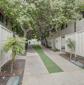 a walkway with trees and a white fence