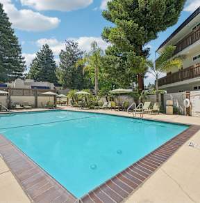 the swimming pool at our hotel