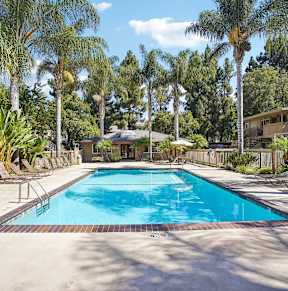 the swimming pool at our apartments in palm springs