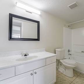 a bathroom with a toilet and a sink and a mirror