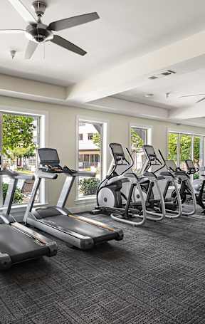 A gym with treadmills, elliptical machines, and a fan.
