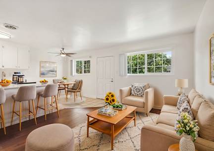A well-lit living room with a kitchen area in the background.