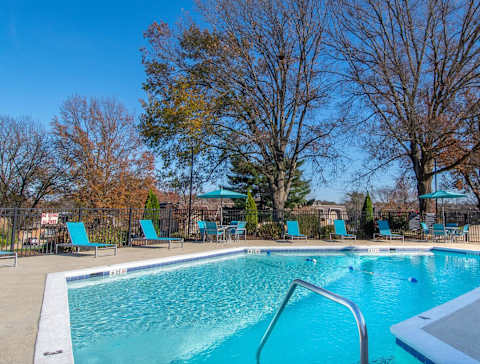 A pool surrounded by trees and chairs.