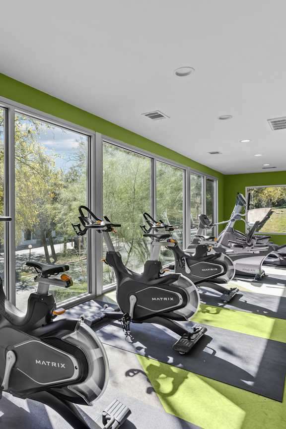 a gym with weights and cardio machines in it