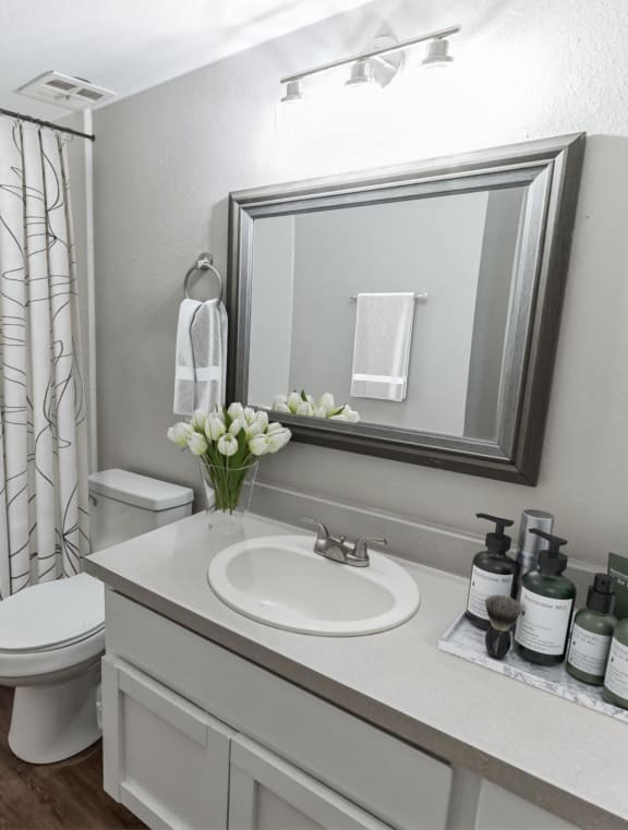a bathroom with a shower sink and toilet and a mirror