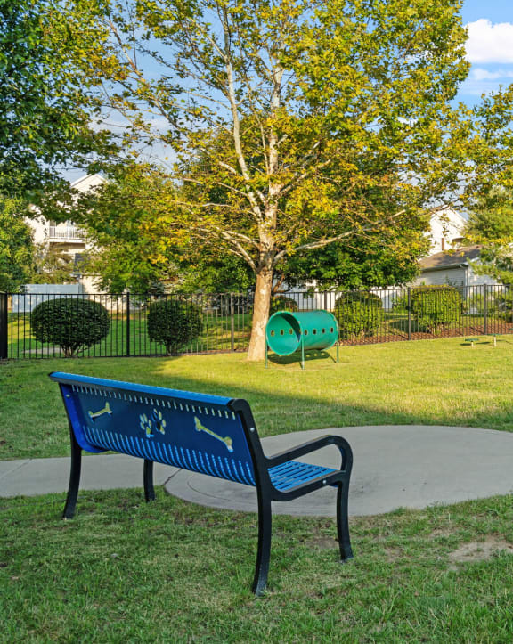 Dog Park