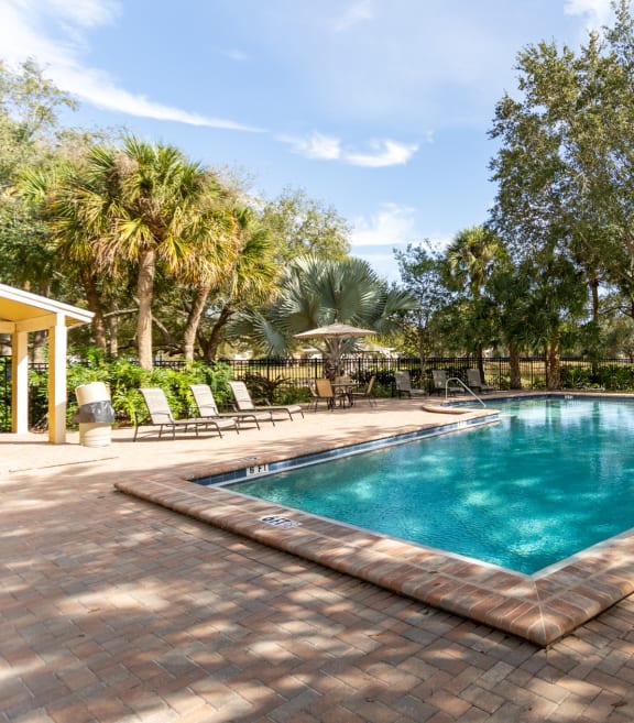 the swimming pool at the preserve at polo ridge apartments tx
