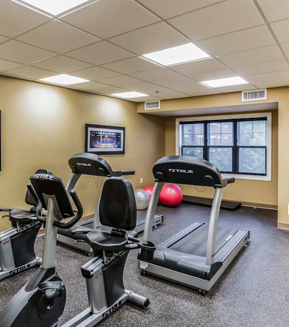 A gym room with a row of treadmilers and exercise balls.