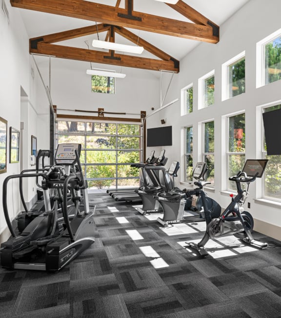 the gym has treadmills and other exercise equipment and windows