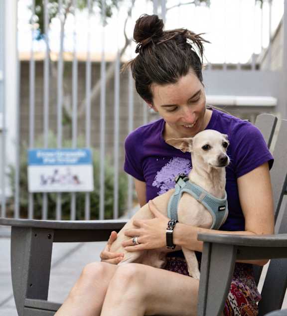 A woman in a purple shirt is sitting on a bench with a dog wearing a harness.