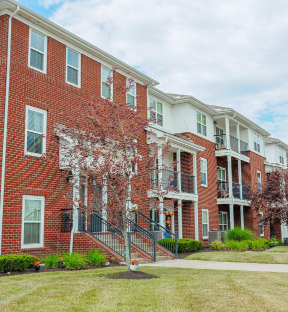 our apartments are located in the heart