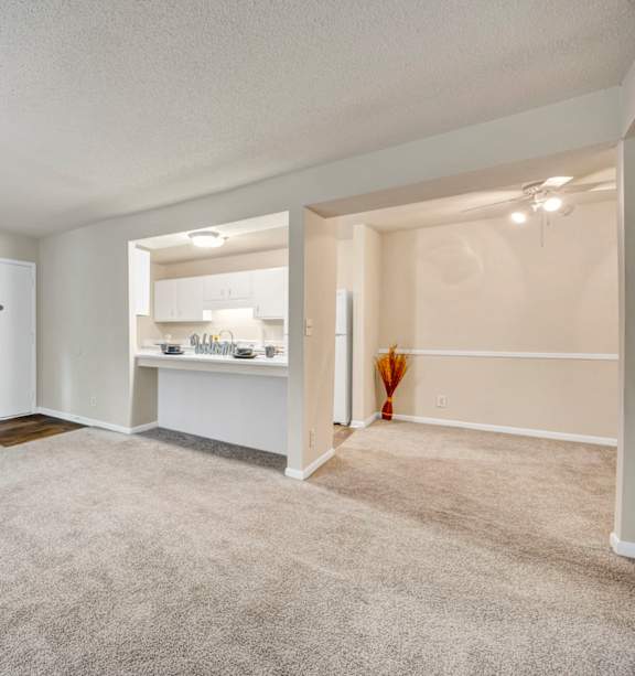 Carpeted Living Room at Peachtree Place, Columbia, SC