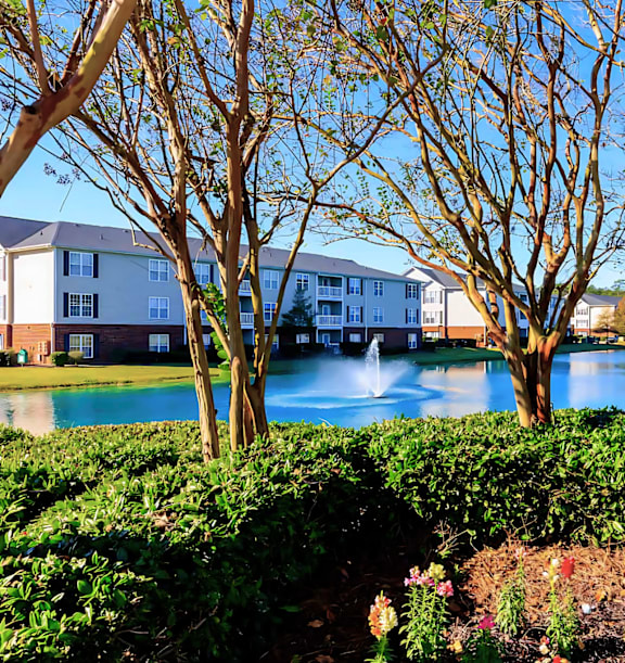 A pool surrounded by trees and bushes.