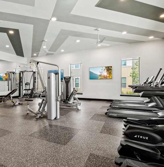 a gym with treadmills and other exercise equipment