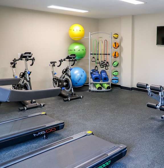 A gym with treadmills, a bench, and a weight machine.
