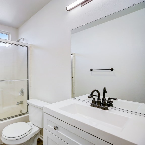 a bathroom with a shower toilet and sink