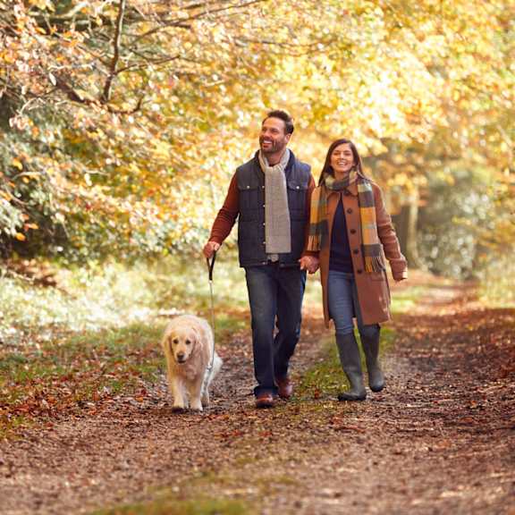 A man and woman walking a dog on a path in the woods.