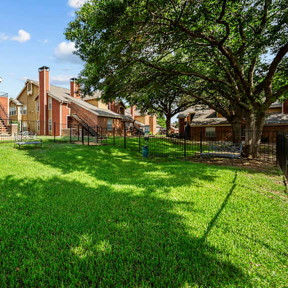 A backyard with a green lawn and a tree.