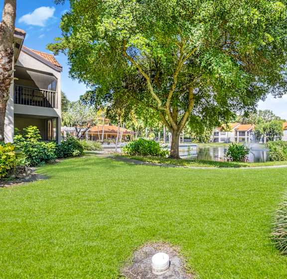A well-maintained lawn with a tree and a white ball in the middle.
