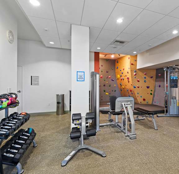 A gym with a variety of equipment including weights and a climbing wall.