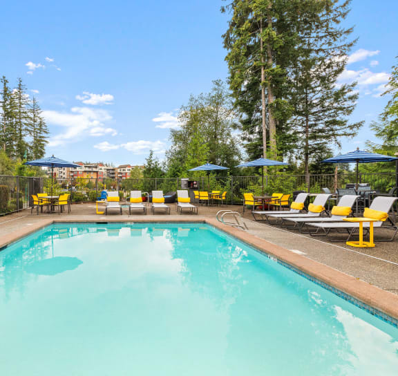 the swimming pool at the resort at paws up