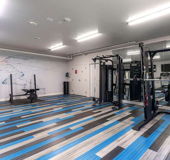 A gym with a blue and brown floor and a variety of equipment.