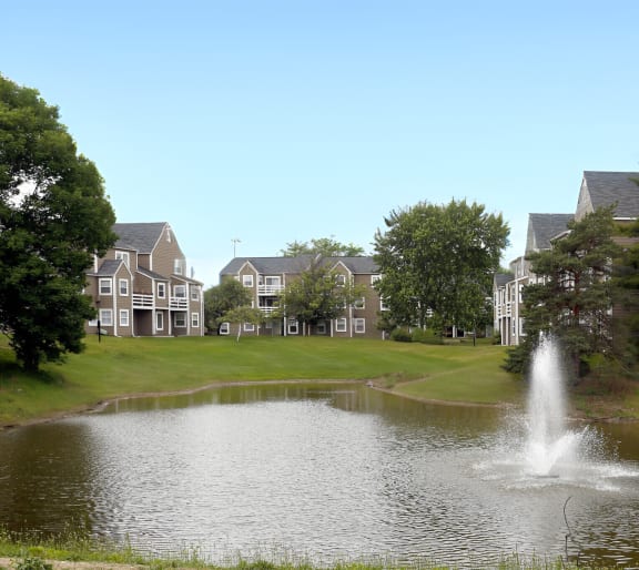 a fountain in a pond with houses in the background