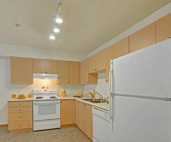 A kitchen with white appliances and wooden cabinets at Aspen Terrace