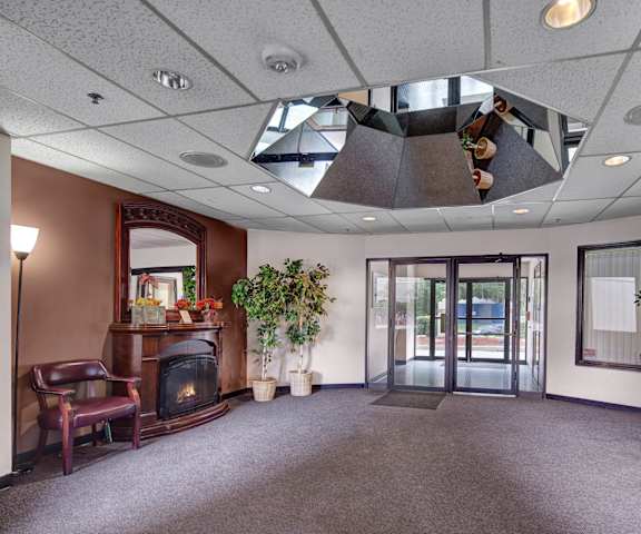 The front office with glass doors, a fireplace, a leather chair, decorative trees, and a large brown bookcase at Silver Ridge Apartment Homes. 