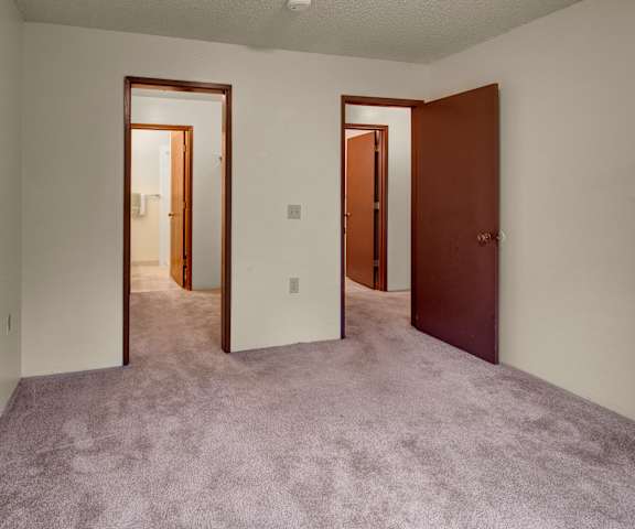 A large, empty carpeted bedroom with overhead lighting and a closet at Taiga Apartment Homes. 