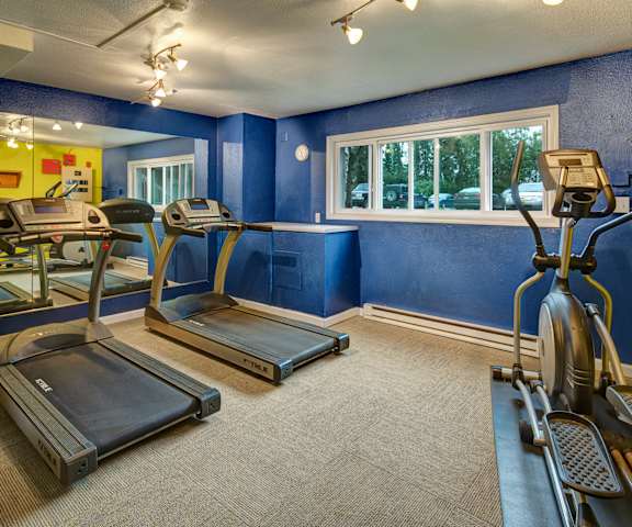 A spacious gym with cardio machines, windows, TVs, and weights at Terrace on the Lake Apartment Homes. 